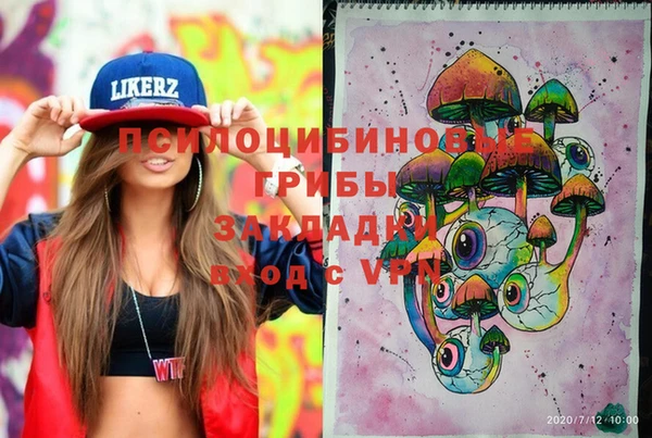 прущий лед Белокуриха