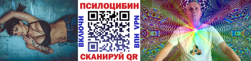 Галлюциногенные грибы Psilocybe  Салаир 