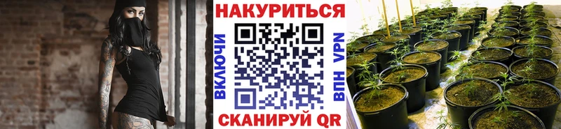 продажа наркотиков  Салаир  Бошки Шишки семена 